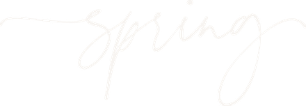 Spring Bengtzen
